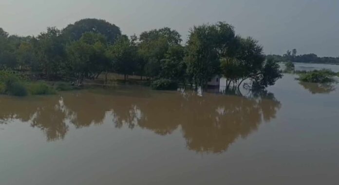 Bihar: कर्मनाशा नदी उफान पर, दो दिन की भारी बारिश से बढ़ा जलस्तर, फसलें डूबीं और ग्रामीणों का पलायन शुरू