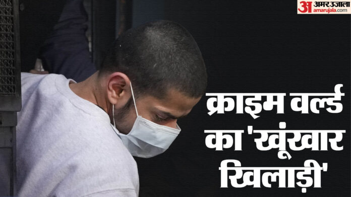 'फ्लैट नंबर-107': 2021 में बनवाया फर्जी पते पर पासपोर्ट, फिर गया अमेरिका; अनमोल बिश्नोई पर चौंकाने वाला खुलासा