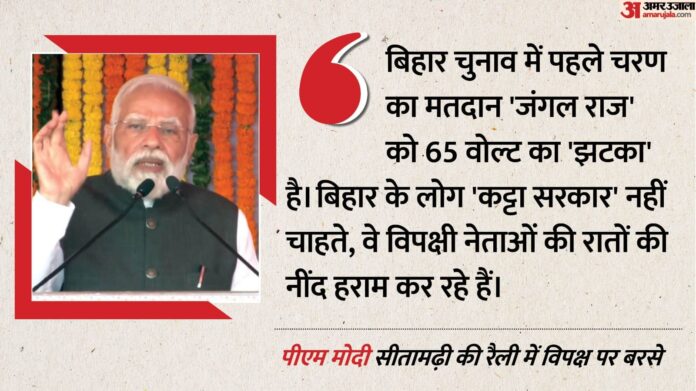 PM Modi Bihar Rally: पीएम मोदी बोले- जंगलराज वालों को 65 वोल्ट का झटका लगा है, अब नहीं चाहिए कट्टा सरकार
