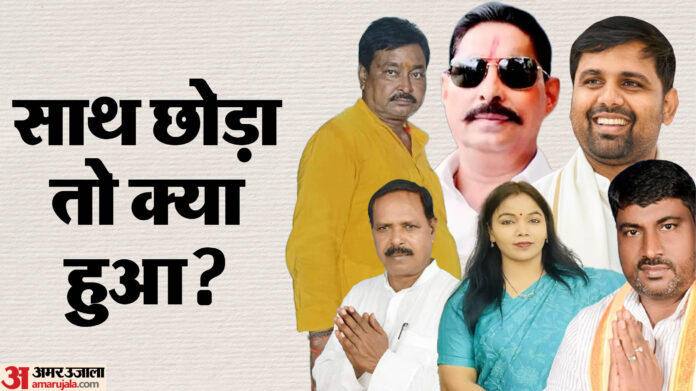 Bihar Election Result: बहुमत परीक्षण में जो आए साथ, उनका क्या हुआ? बागी बिहार चुनाव में कहां हारे-जीते
