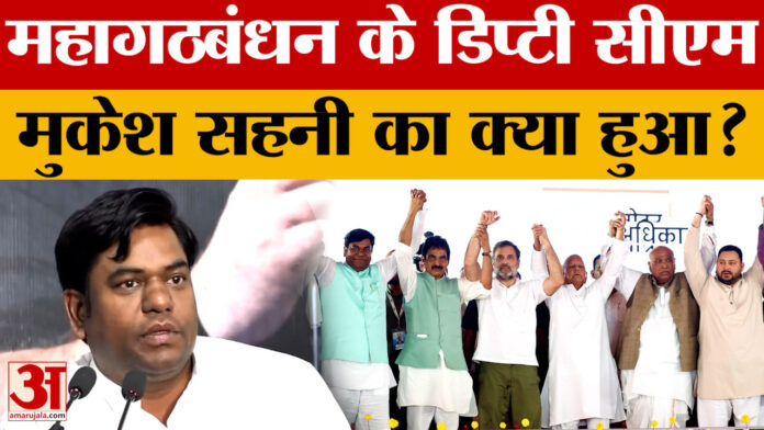 Bihar Result 2025: बिहार चुनाव में VIP का नहीं खुला खाता, महागठबंधन के ओर से थे डिप्टी सीएम का चेहरा