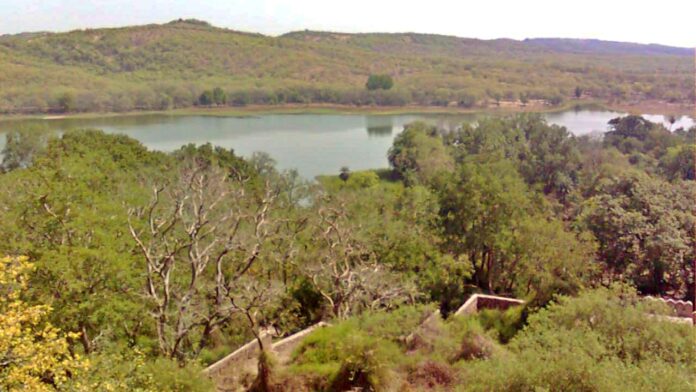 अरावली पर सियासत: सरकार बोली- पीएम के नेतृत्व में संरक्षण हुआ तेज, कांग्रेस ने पर्यावरण संकट पर सरकार को घेरा