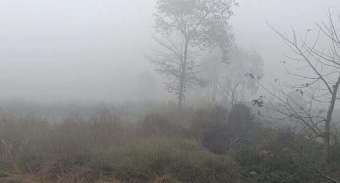 Bihar Weather: बिहार के इन 17 जिलों में घने कोहरे का ऑरेंज अलर्ट, पटना में आज भी शीत दिवस; जानिए मौसम का हाल