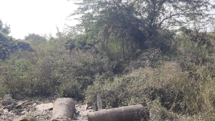 दरिंदगी के बाद हत्या: मासूम का कत्ल किया... फिर वापस आकर परिवार की मदद का नाटक करता रहा पिंटू; CCTV से पकड़ा