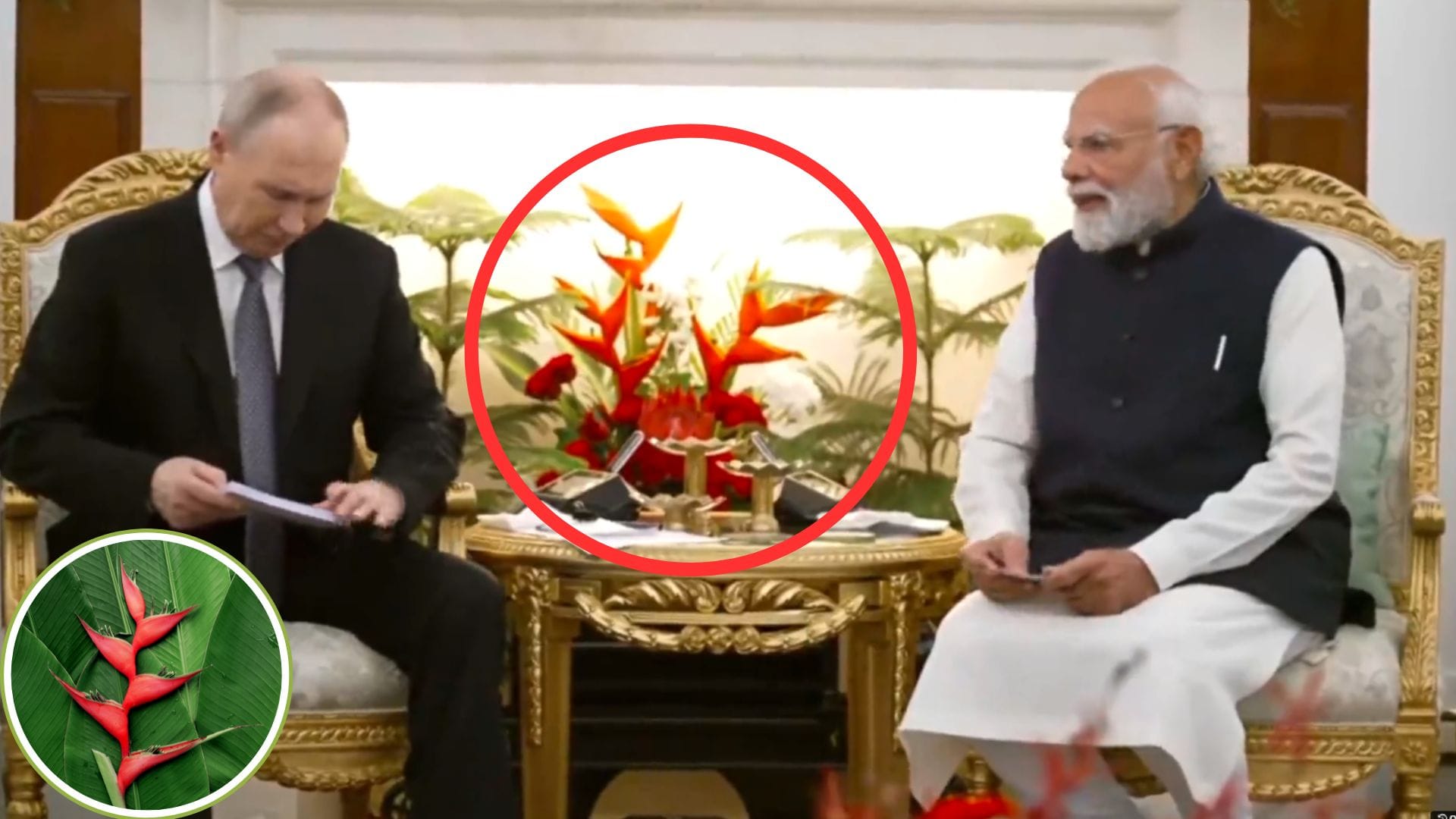 Heliconia: पीएम मोदी और पुतिन के मीटिंग में दिखा ये खास बैकग्राउंड, क्या आपने नोटिस किया ये लाल रंग का पौधा