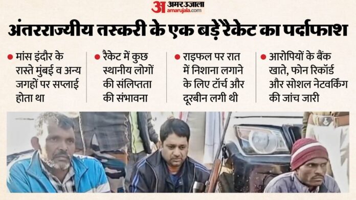 काला हिरण शिकार कांड: भोपाल के रास्ते मुंबई में होती थी मांस की सप्लाई, अब STF खंगालेगी शिकारियों का नेटवर्क